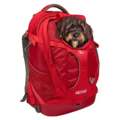 Sac à dos G-Train K9 rouge
