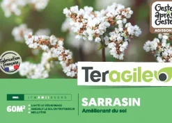 Sarrasin 250g