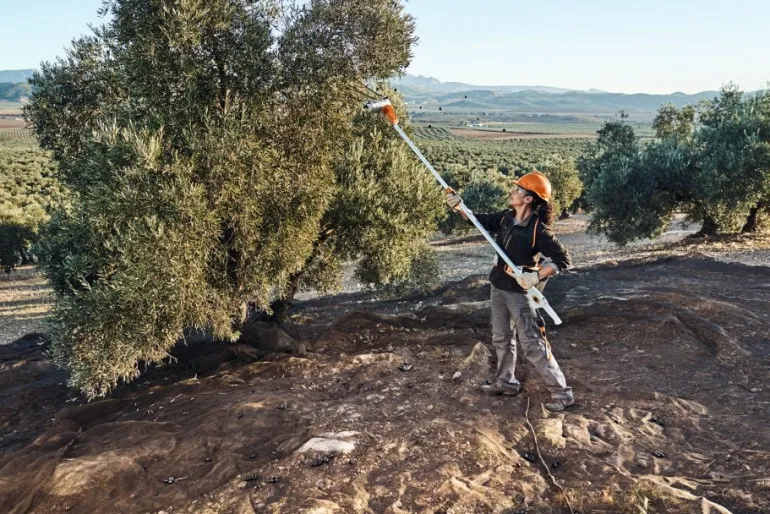 Secoueur d'olives à batterie (produit seul) SPA140 STIHL