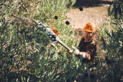 Secoueur d'olives à batterie (produit seul) SPA130 STIHL