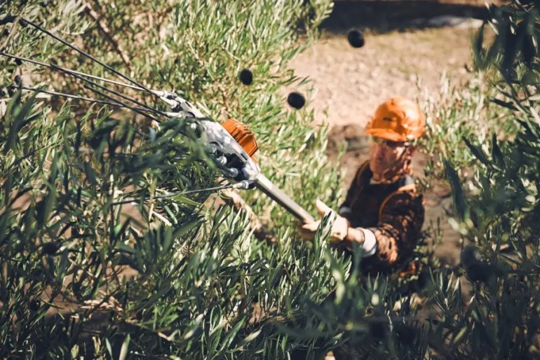Secoueur d'olives à batterie (produit seul) SPA130 STIHL