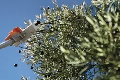 Secoueur d'olives à batterie (produit seul) SPA130 STIHL