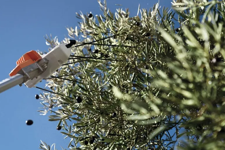 Secoueur d'olives à batterie (produit seul) SPA130 STIHL
