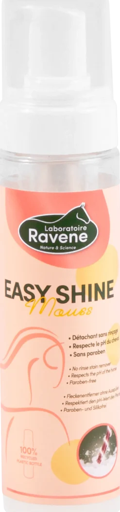 Shampoing à sec Easy shine Mouss 200ml RAVENE