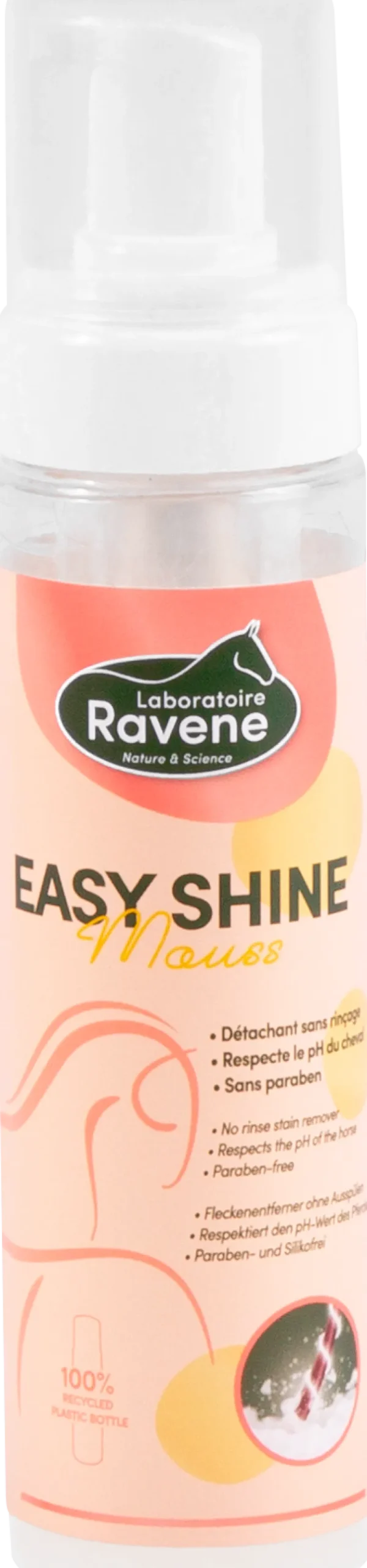 Shampoing à sec Easy shine Mouss 200ml RAVENE