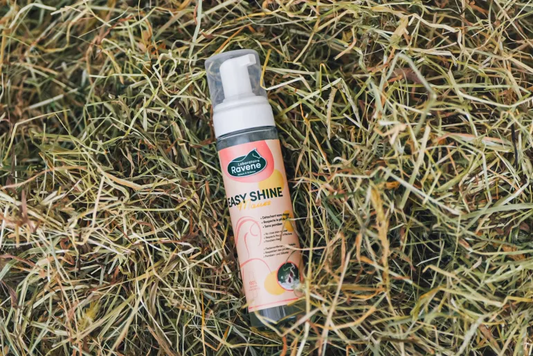 Shampoing à sec Easy shine Mouss 200ml RAVENE