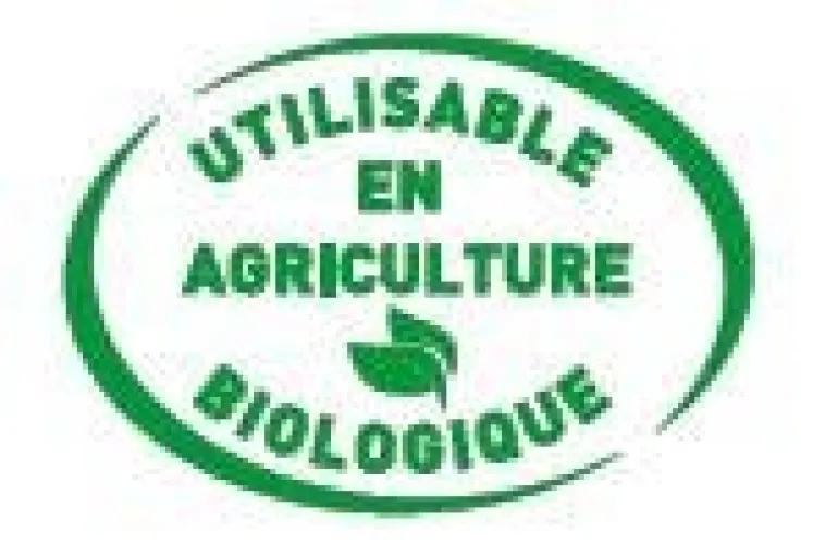 SodiMouton UAB 12 kg SALINS DU MIDI