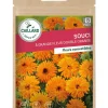 Souci à Grande Fleur Double Orange 3g CAILLARD