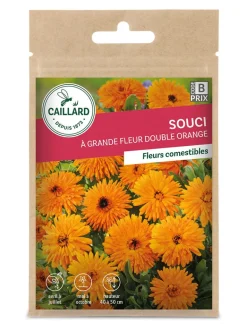 Souci à Grande Fleur Double Orange 3g CAILLARD