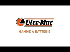 Souffleur à batterie BVI 60 BOOST seul