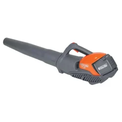 Souffleur à batterie BVI 60 BOOST seul