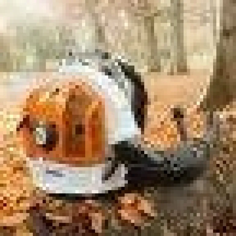 Souffleur à dos thermique BR700 STIHL