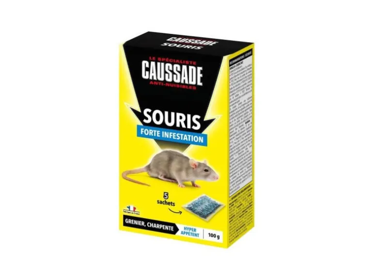 Souris céréales foudroyant 100g CAUSSADE