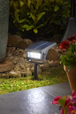 Spot Solaire Revo à planter 50 lm