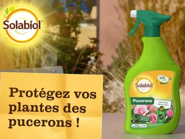 Spray contre les pucerons PAE 750 ml SOLABIOL