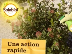 Spray contre les pucerons PAE 750 ml SOLABIOL