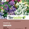 Statice Sinuata Varié 0,5g TERAGILE