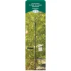 Station d'alimentation mangeoire/abreuvoir pour oiseau S