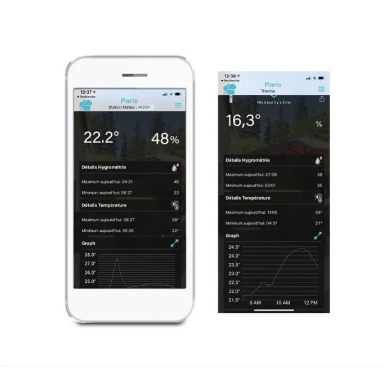 Station Météo Wifi avec prévisions 3 jours Gris
