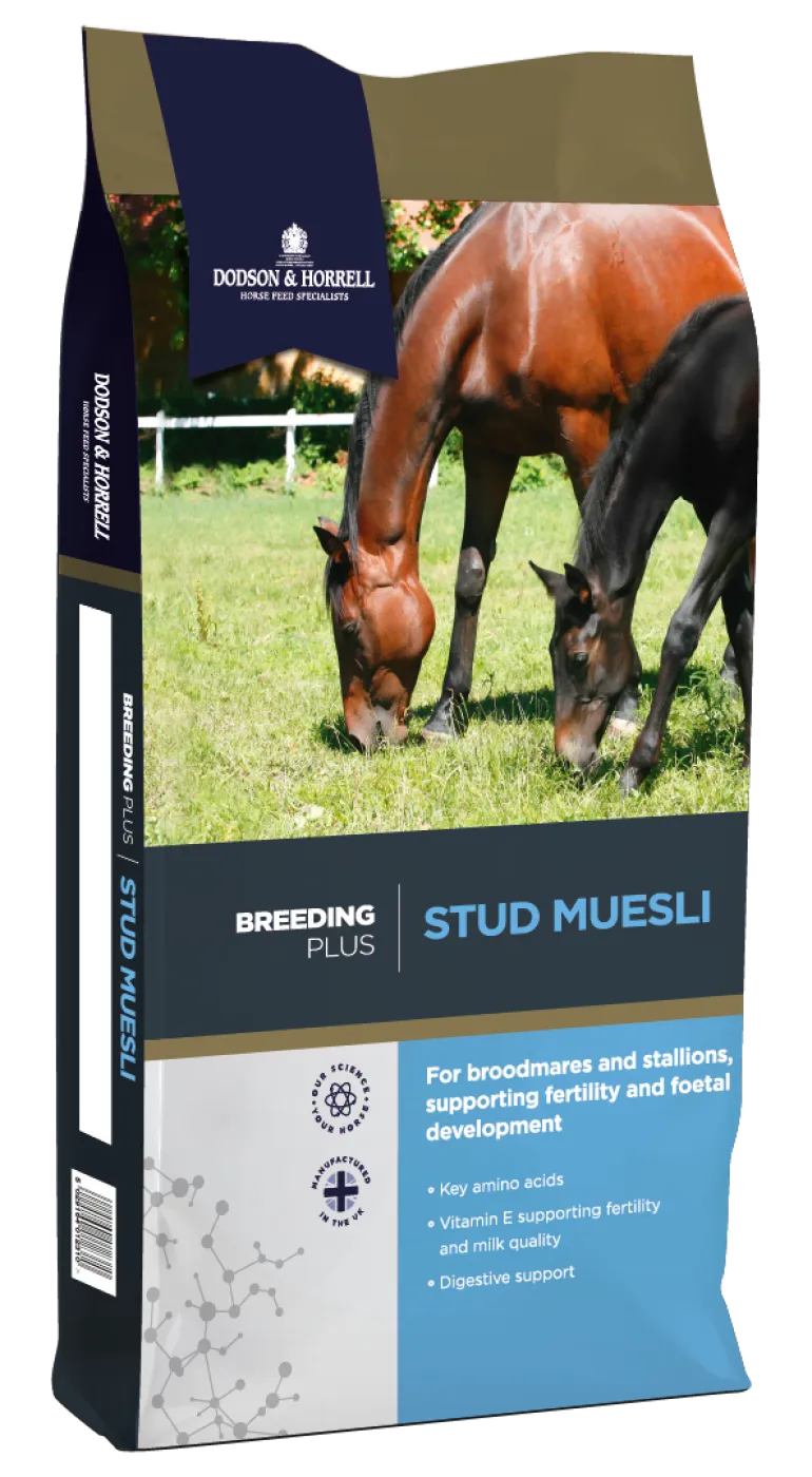 Stud Muesli 20 kg DODSON & HORRELL