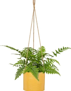 Suspension 429/Ø14 cm zabaione DEROMA