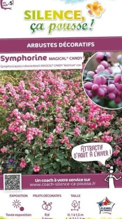 Symphorine "Magical Candy" Pot 4L SILENCE ÇA POUSSE