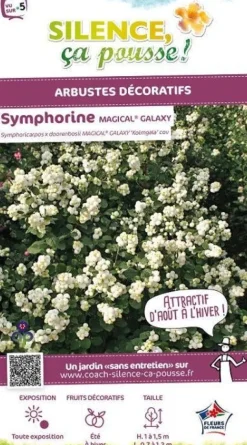 Symphorine "Magical Galaxy" Pot 4L SILENCE ÇA POUSSE
