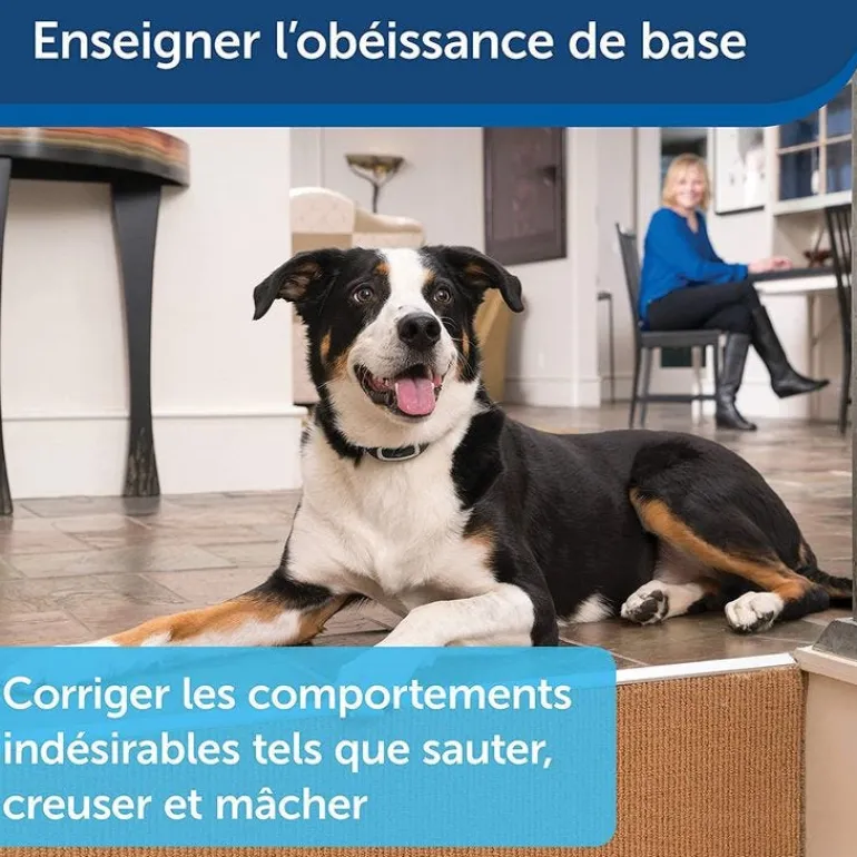 Système d'aide à l'éducation 2 chiens 600m PETSAFE