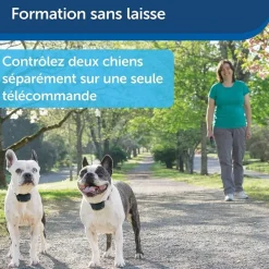 Système d'aide à l'éducation 2 chiens 600m PETSAFE