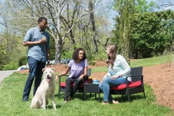 Système d'aide à l'éducation Lite 2 chiens 600m PETSAFE