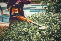 Taille-haie à batterie HSA 140 T 60cm (produit seul) STIHL