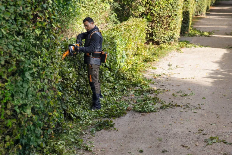 Taille-haie à batterie 750mm HSA 130 T (produit seul) STIHL