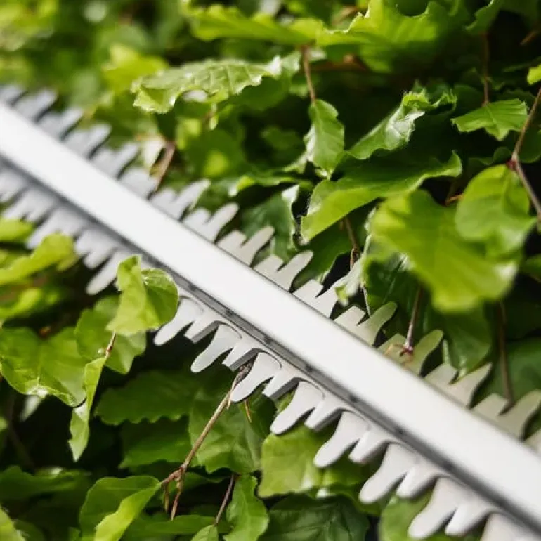 Taille-haies EasyCut 45/18V P4A