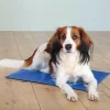 Tapis rafraichissant pour chien 64 x 48 cm ANKA