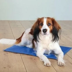 Tapis rafraichissant pour chien 64 x 48 cm ANKA