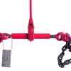Tendeur d'arrimage à cliquet 6,3T 3,5m + chaîne 10mm