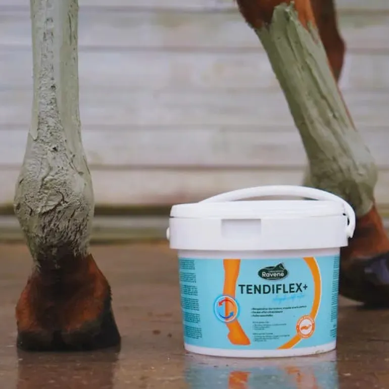Tendiflex Plus 1,5 kg