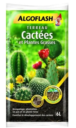 Terreau cactées 6L