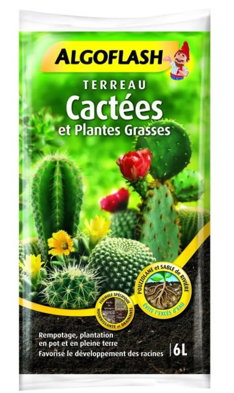 Terreau cactées 6L