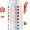 Thermomètre de fenêtre transparent