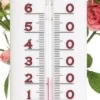 Thermomètre plastique blanc 19 cm