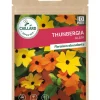 Thunbergia Alata 1,50g CAILLARD