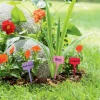 Étiquettes LABEL 4 couleurs 15 cm (x10)