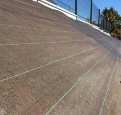 Toile de paillage 1,25x10 m marron TERAGILE