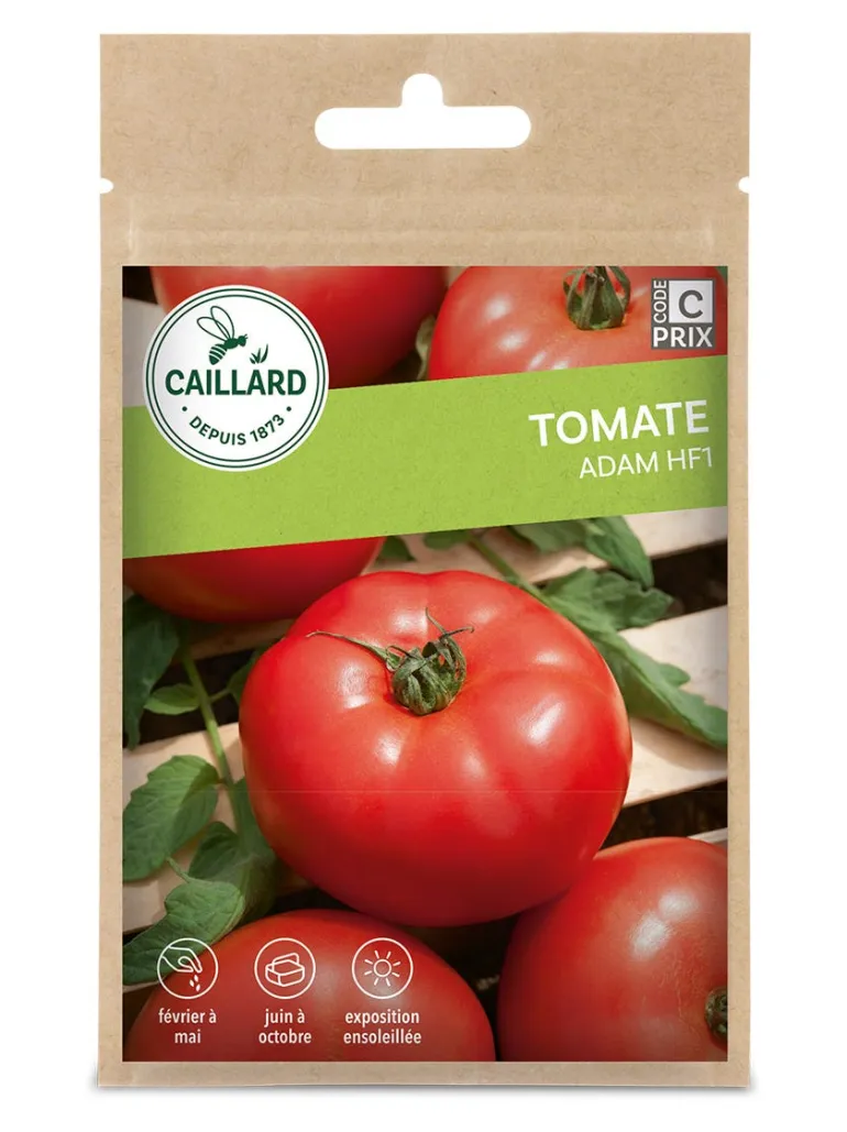 Tomate Adam Hf1 0,10g CAILLARD