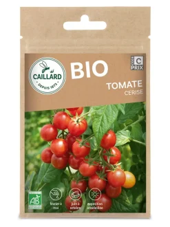 Tomate Cerise Bio 0,15g CAILLARD