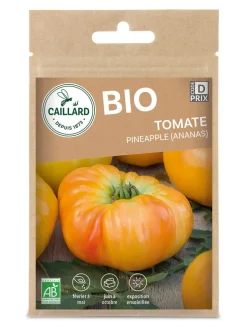 Tomate Pineapple (Ananas) Bio 0,25g CAILLARD