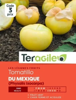 Tomatillo du Mexique (Physalis ixocarpa) 1g TERAGILE