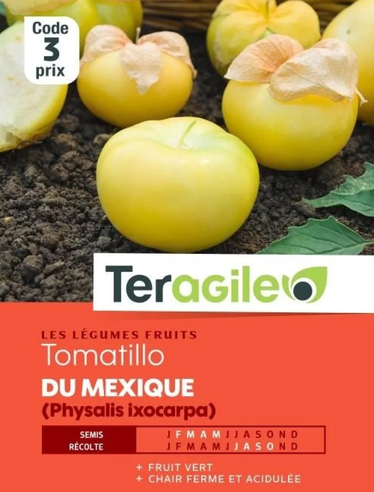 Tomatillo du Mexique (Physalis ixocarpa) 1g TERAGILE