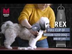 Tondeuse pour animaux Rex MOSER